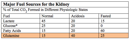 Kidney Major Fuels