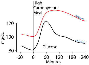 Glucose Clearance From the Blood