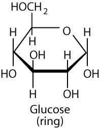 Glucose Ring