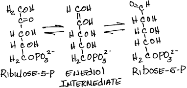 Phosphopentose isomerase